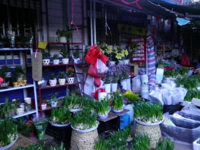 Flower & Bird Market, Kunming