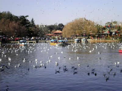 Green Lake Park, Kunming