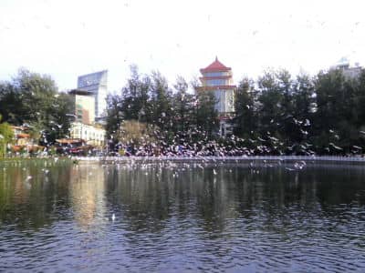 Green Lake Park, Kunming