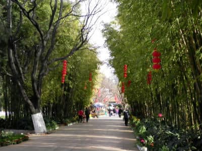 Green Lake Park, Kunming