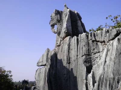 Stone Forest, Kunming