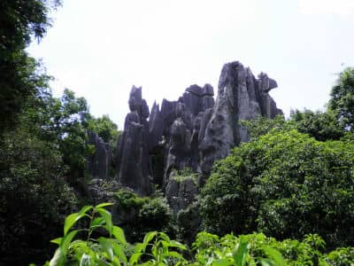 Stone Forest, Kunming