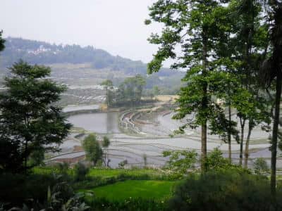 Terraced Fields, Yuanyang