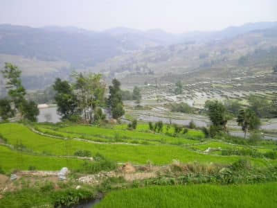 Terraced Fields, Yuanyang