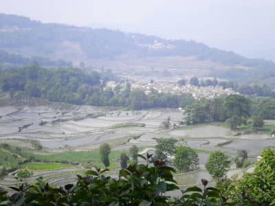 Terraced Fields, Yuanyang